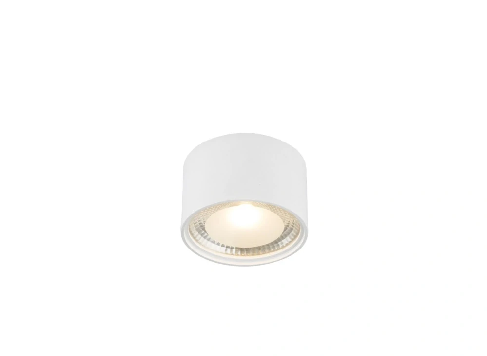 BG112007W stropne svietidlo 12W/LED/3K/980lm, d11cm, biely kov/cire-matne sklo