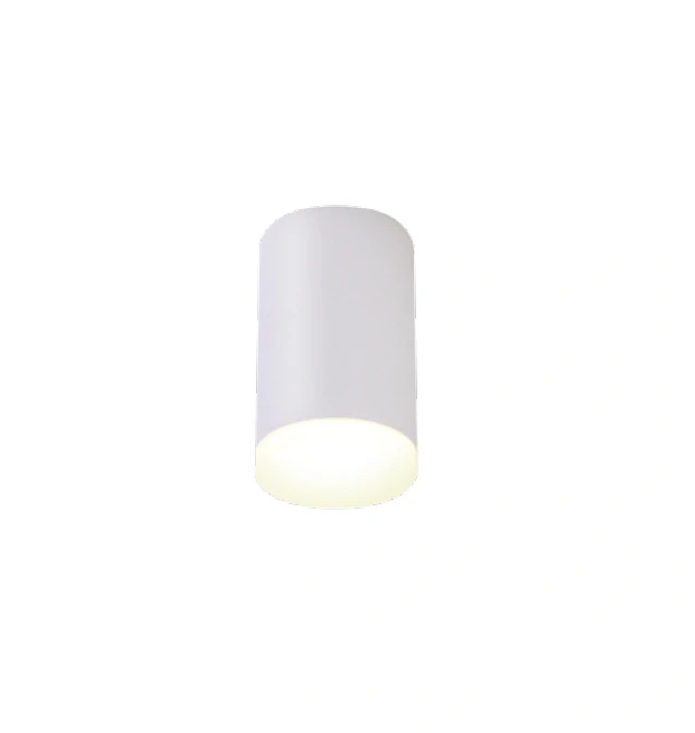 Stropné svietidlo MAX Light SPHERE - C0096, 1×4W/LED/3000K/365lm, d 8 cm, v 23 cm, kov/biely