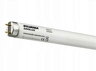 Sylvania 0000713 F 38W/G13 Gro-Lux T8 1047mm linearna ziarivka 8500K, minimalny odber=5ks